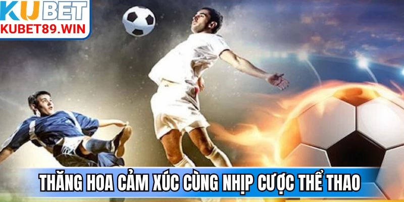Thăng hoa cảm xúc cùng nhịp cược thể thao
